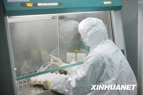 6月8日，科研人員在進行毒株種子批的制備工作。新華社記者 邢廣利 攝