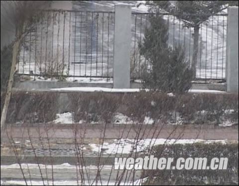 11月11日，長春市再次雪花紛紛(來源：吉林影視中心)