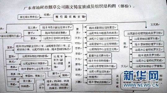 圖為廣東省汕尾市煙草專賣局局長陳文鑄家族成員組織結構圖（1月13日攝）。新華社記者 劉大江 攝