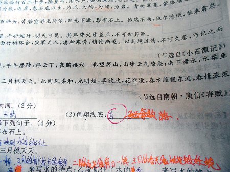這是6月18日，網(wǎng)友“啃梨掉顆牙”發(fā)在網(wǎng)上的試卷照片。