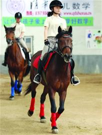 青島家長(zhǎng)花60萬(wàn)買(mǎi)溫血寶馬 給孩子練馬術(shù)專用