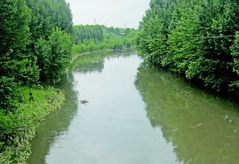 藍星石油漏油流入小清河 出現(xiàn)死魚氣味刺鼻