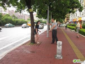 兄妹吵架哥哥當(dāng)街將其捆到樹(shù)上 五花大綁似SM