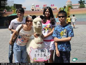 白富美開(kāi)豪車帶草泥馬逛街被圍觀 奧運(yùn)金牌躺槍
