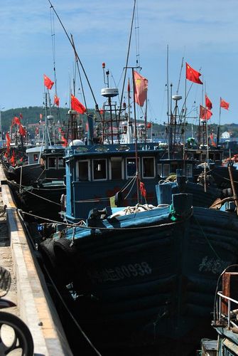 本網(wǎng)直擊開(kāi)海首日大豐收