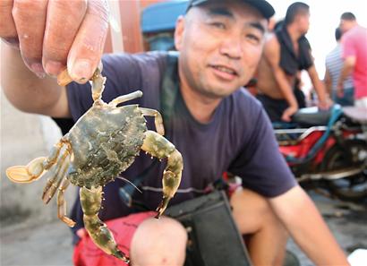 開海首日海鮮價格不高