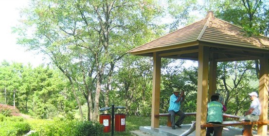 青島新擴建百余處公園游園 市民有后花園