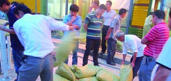 陽(yáng)澄湖大閘蟹第一捕昨連夜進(jìn)青 今日鮮活上市