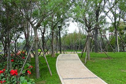 青島白沙河沿岸建運(yùn)動公園 安裝健身器材60件套