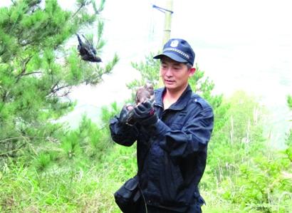 森林管護(hù)隊長：鳥網(wǎng)救下千只鳥 摔下山頭盔救命