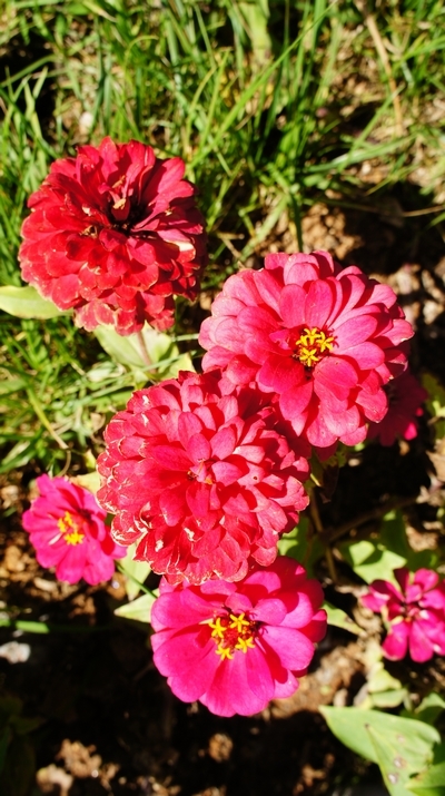 世園會(huì)內(nèi)景曝光:繁花似錦 鳥鳴婉轉(zhuǎn)