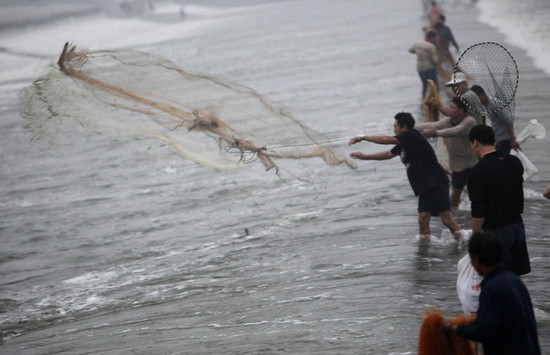 洛河水漲 洛陽(yáng)市民集體撈魚(yú)