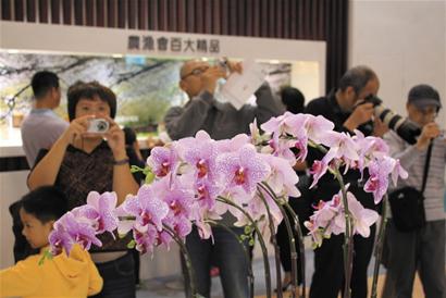 青島市民臺(tái)博會(huì)排隊(duì)掃貨 購百種世界唯一
