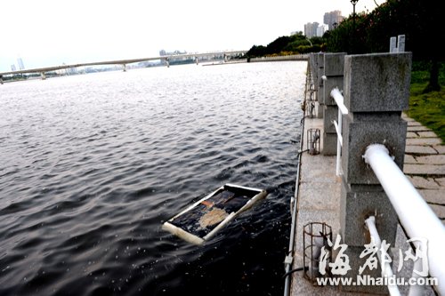 閩江公園南園沿線，閩江混雜污水，漂著垃圾，散發(fā)出腥臭。