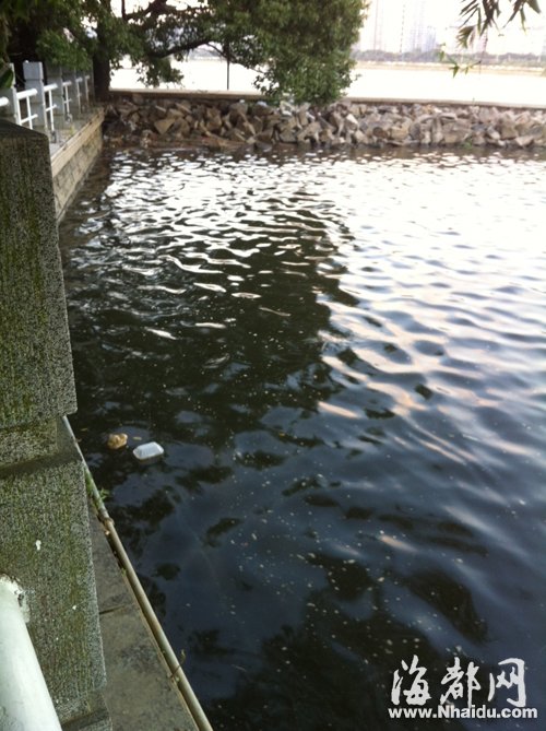 閩江公園南園沿線，閩江混雜污水，漂著垃圾，散發(fā)出腥臭。