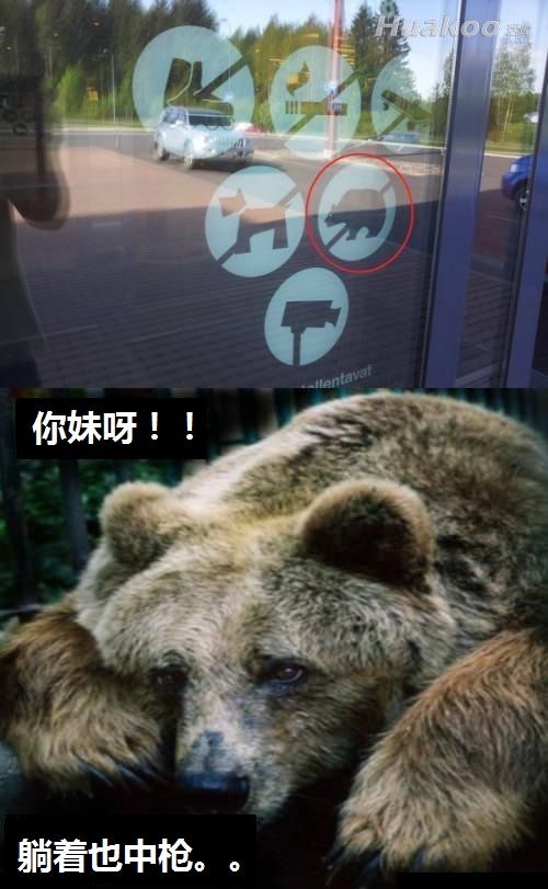 亮點(diǎn)讓人精神抖擻