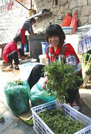 小村經營農家宴漸成品牌 每戶年賺二三十萬