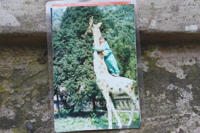 龍龍站在翠屏公園長(zhǎng)頸鹿上的照片。圖由受訪者提供
