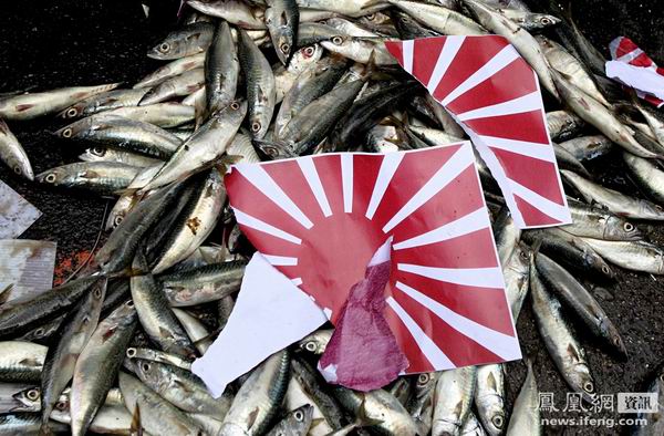 臺保釣人士在日駐臺機(jī)構(gòu)前抗議 焚太陽旗丟死魚