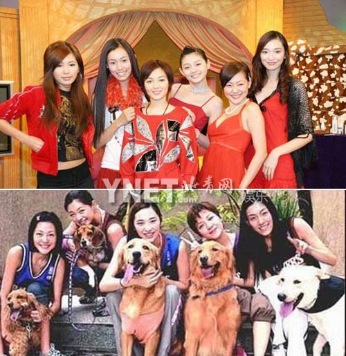 娛樂圈真假閨蜜大起底 大S安以軒搶老公翻臉