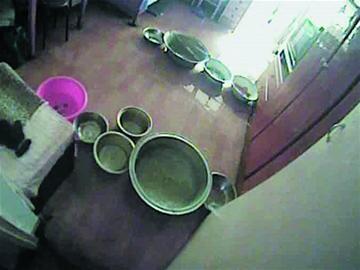 青島新婚小夫妻忘關(guān)水龍頭淹兩層鄰居 平時(shí)不來(lái)往