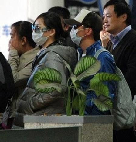 男星?；ɡ掀糯驪K 