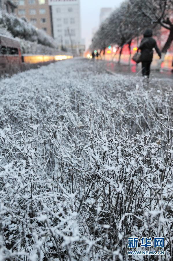 （生態(tài)）（3）內蒙古東部、東北大部遭遇寒潮降雪天氣
