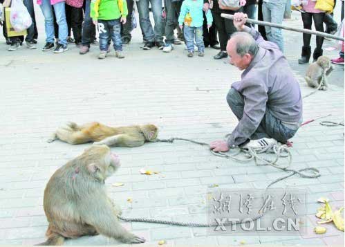 　　耍猴人當(dāng)街暴打猴子，引起圍觀市民的反感。(豎戈攝)