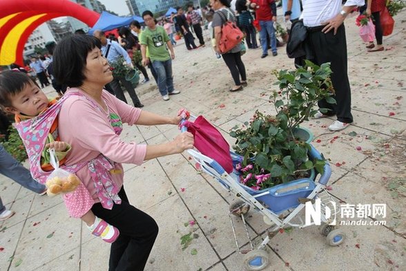 江門免費(fèi)派花 民眾推倒圍欄哄搶