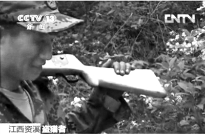 記者在資溪縣一林場(chǎng)看到三名盜獵者。央視截屏
