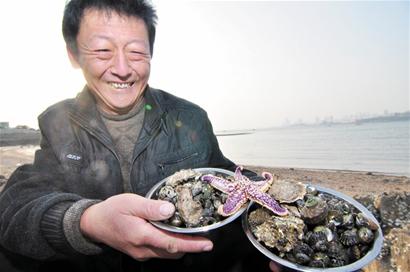 青島海量海膽涌上岸 趕海市民1小時撿1盆