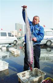 青島漁民一網(wǎng)撈上3條海怪 眼如表盤(pán)頭似鴨