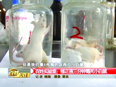 4三分鐘后，修正液瓶中的小白鼠死亡