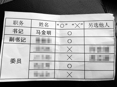 部分黨員提供的“選票”。新京報(bào)記者 劉珍妮 攝
