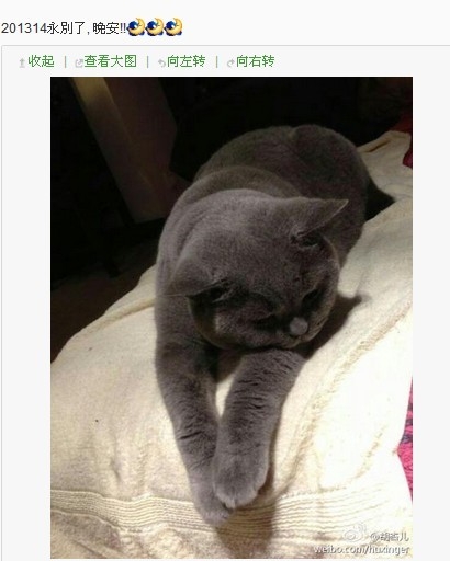 黃宗澤攜新歡游上海被拍 胡杏兒感慨：永別了！