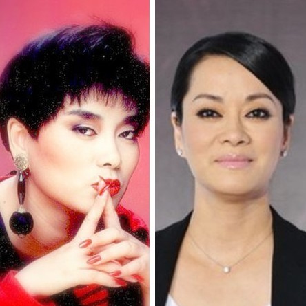 楊鈺瑩等90年代內地紅歌星今昔對比