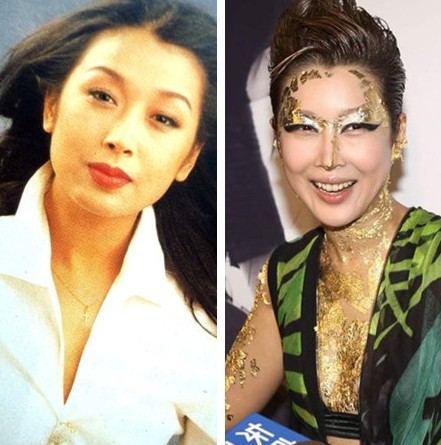楊鈺瑩等90年代內(nèi)地紅歌星今昔對比