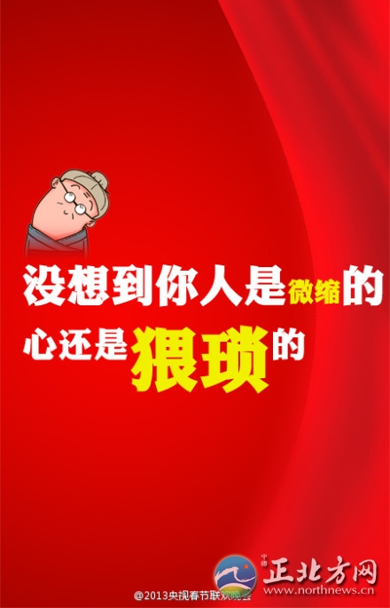 盤(pán)點(diǎn)2013年央視蛇年春晚流行語(yǔ)走紅網(wǎng)絡(luò)【組圖】