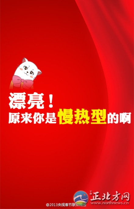 盤(pán)點(diǎn)2013年央視蛇年春晚流行語(yǔ)走紅網(wǎng)絡(luò)【組圖】