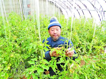 那些年，我們那樣學(xué)雷鋒