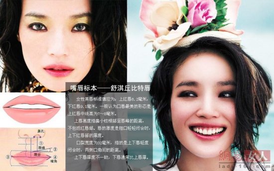 2013娛樂圈整容新標本：甄嬛眼柳巖胸舒淇嘴 