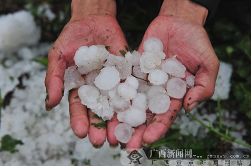 忻城縣北更鄉(xiāng)鳳凰村的村民撿起遺留的冰雹。