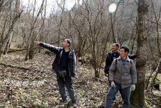2013年3月4日，陜西省安康市鎮(zhèn)坪縣，隨周正龍上山人員研究尋虎方案。李根/CFP