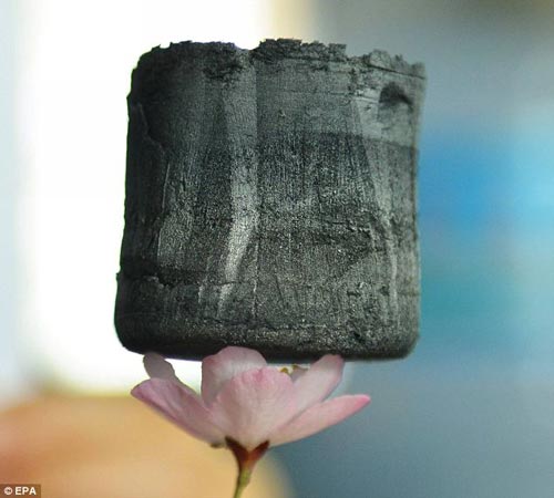 由浙江大學教授開發(fā)的石墨稀氣凝膠體，可可穩(wěn)穩(wěn)地立于一朵花的花瓣上。