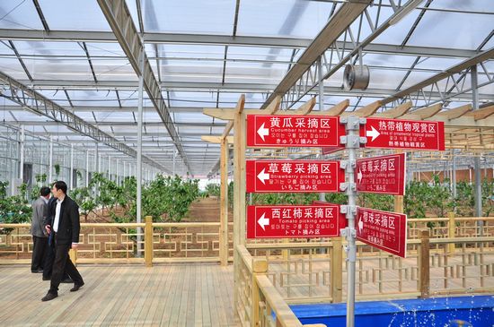 城陽打造首家熱帶觀賞園 南國植物現(xiàn)青島 城陽打造首家熱帶觀賞園 南國植物現(xiàn)青島